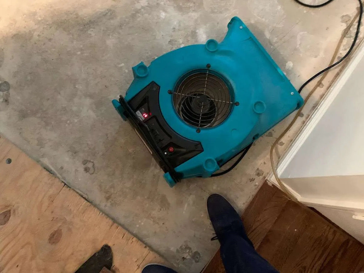 Air mover drying subfloor during Leak Detection & Repair in Romulus